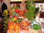 fruehling_022.jpg