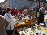 fruehling_026.jpg