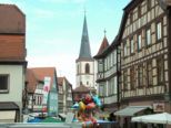 fruehling2009_068.jpg