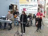 fruehling2009_118.jpg