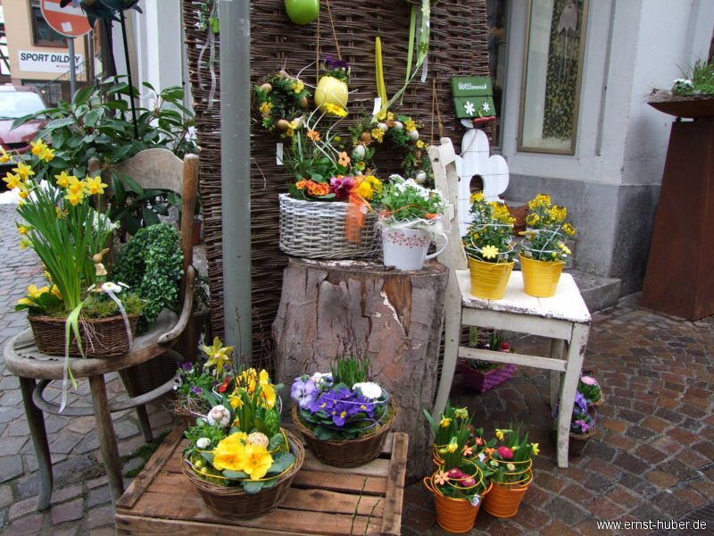 fruehling_2013_115.jpg