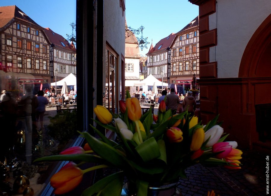 fruehling2025-___114.jpg