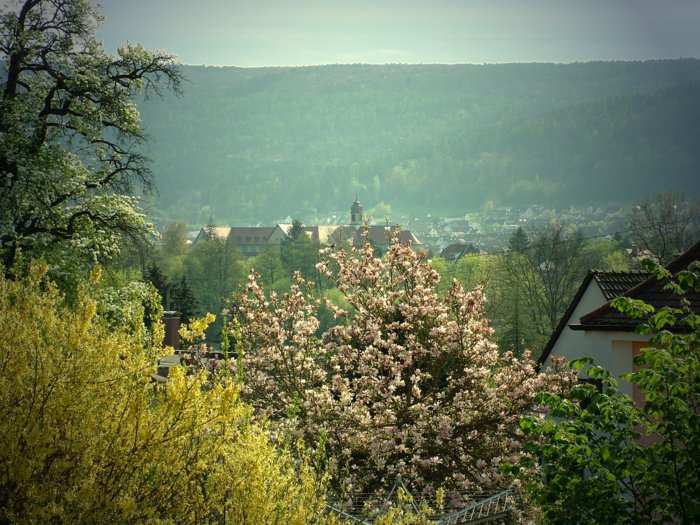 rettersbach_061.jpg