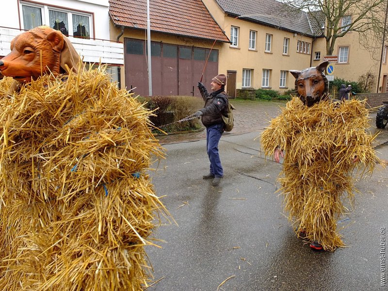 fvszug2016__010.jpg