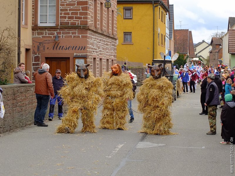 fvszug2017__004.jpg