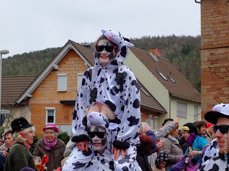 fvszug2017__119.jpg