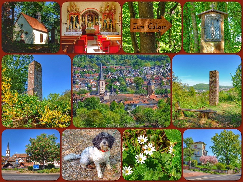 Sonntagsspaziergang zur Valentinuskapelle und dem Galgenberg in Lohr a. Main