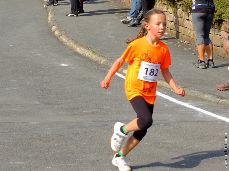 glasmacherlauf2014__084.jpg