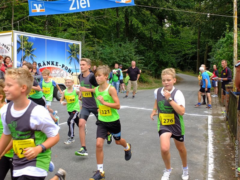 gmlauf2016__062.jpg