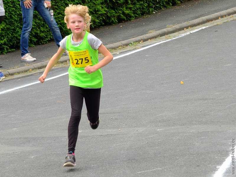 gmlauf2016__100.jpg