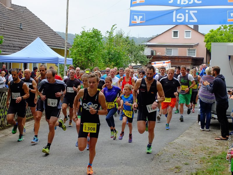 gmlauf2016__113.jpg