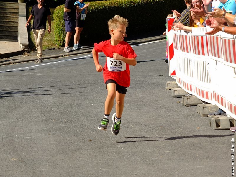 glasmacherlauf2019__076.jpg