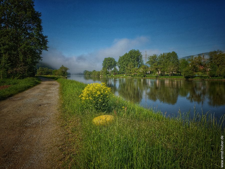 goikelmai24-__006-01.jpg