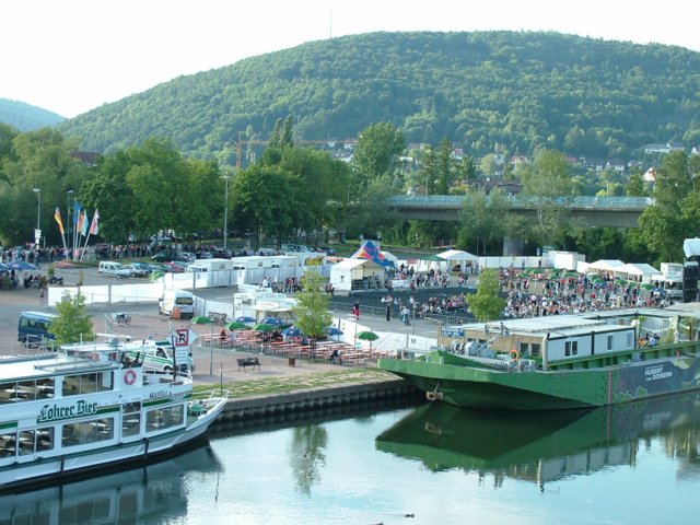 hubert_goisern_007.jpg
