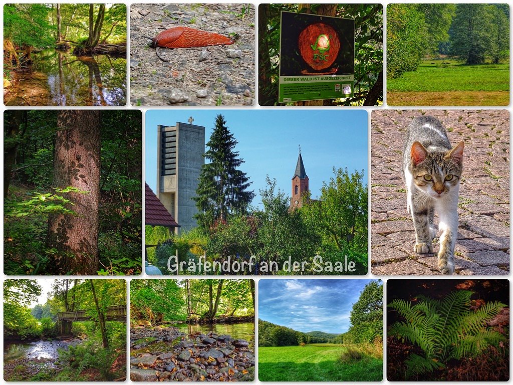 Wanderung durchs Schondratal bei Grfendorf an der Saale