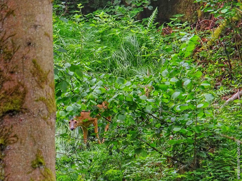 hafenlohrtal__011.jpg