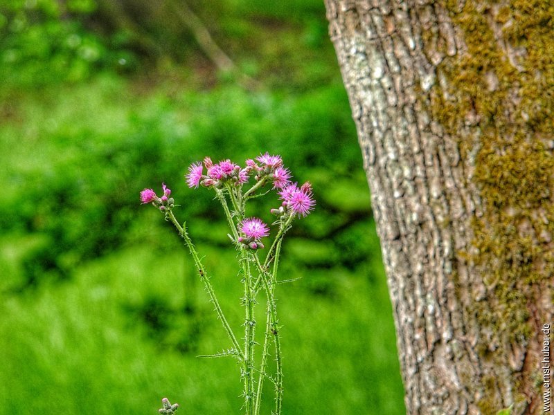 hafenlohrtal__091.jpg