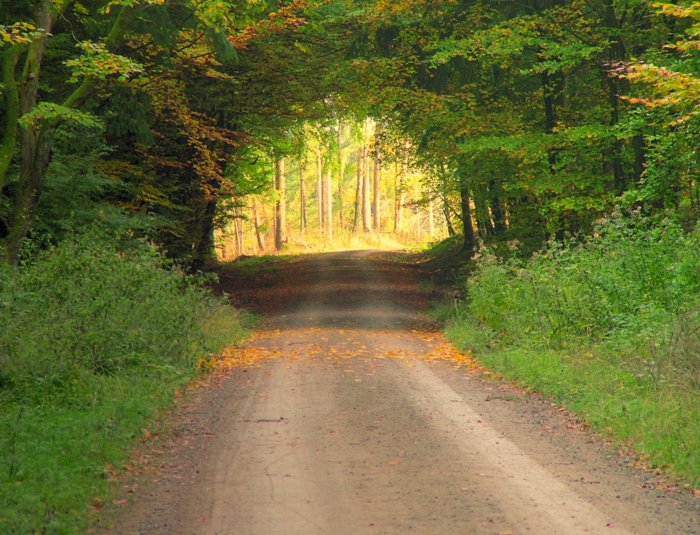 herbst2008__083.jpg