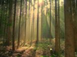 herbst2008__024.jpg