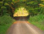 herbst2008__083.jpg