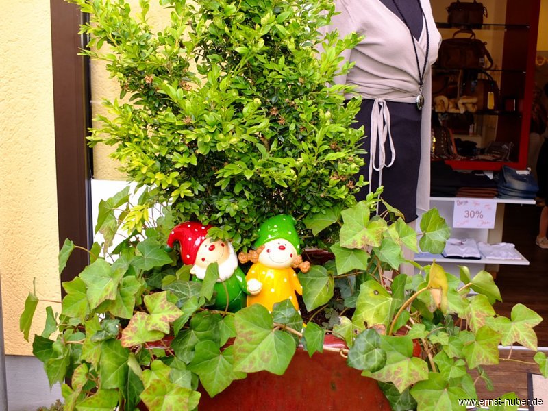 mode2013_340.jpg
