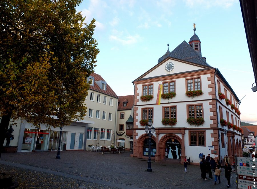 herbstmode2025-__460.jpg