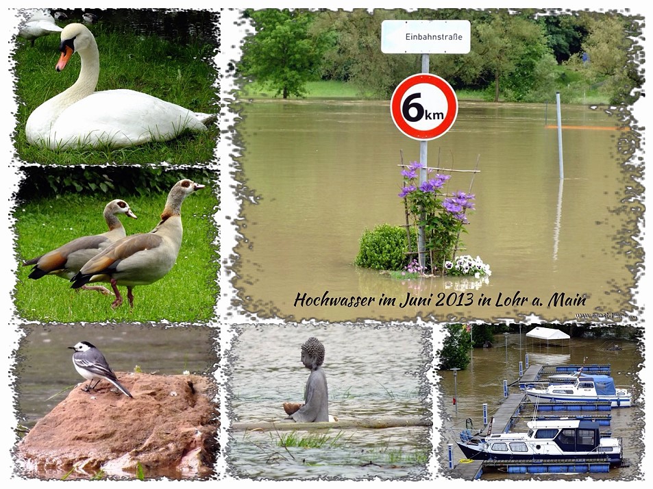 Hochwasser im Juni 2013 in Lohr a. Main