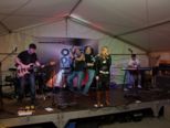 honky2012__272.jpg