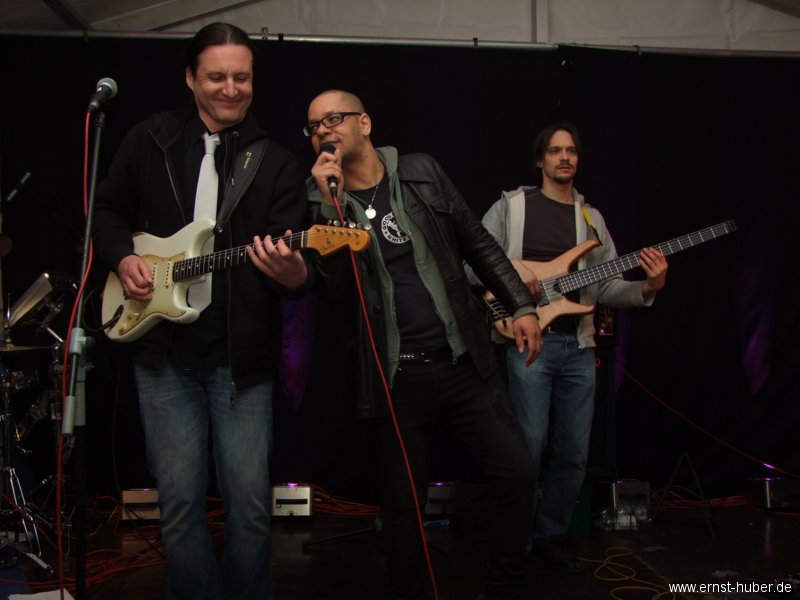 honky_2013__520.jpg