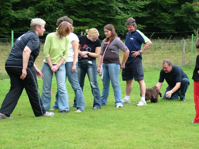 hundeschule_010.jpg