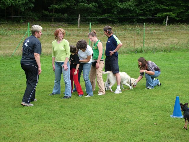hundeschule_020.jpg