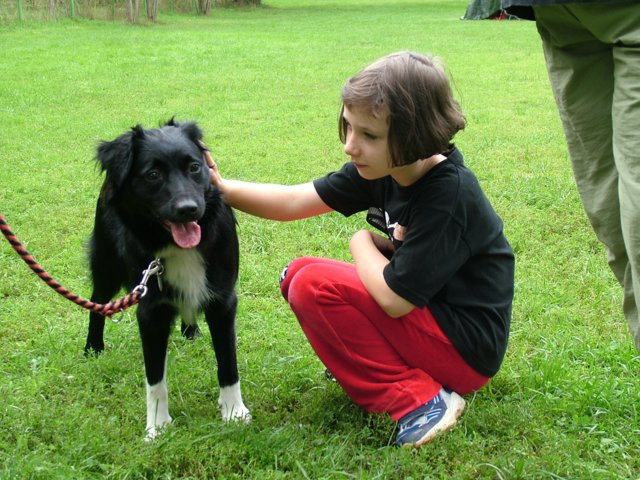 hundeschule_058.jpg