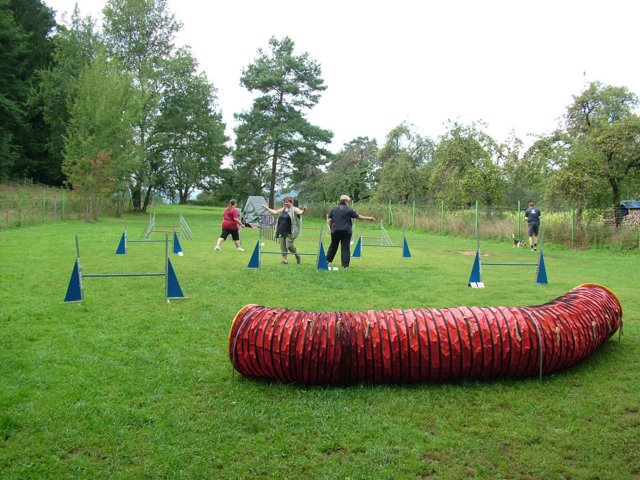 hundeschule_086.jpg