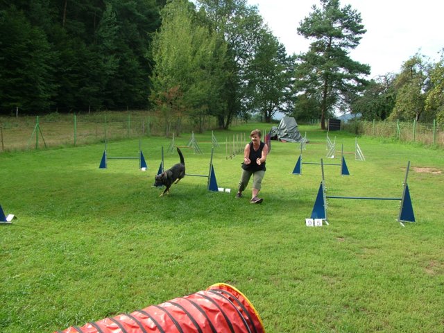 hundeschule_100.jpg