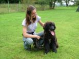 hundeschule_057.jpg
