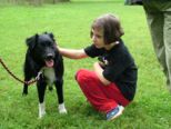 hundeschule_058.jpg