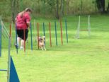 hundeschule_096.jpg