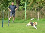 hundeschule_104.jpg