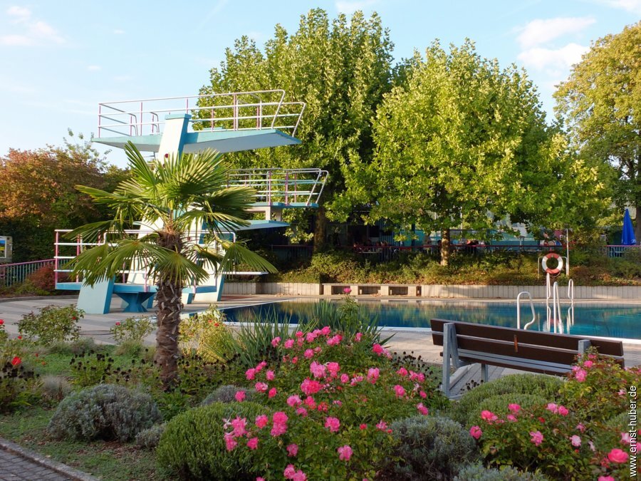 hundeschwimmen__312.jpg