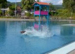 hundeschwimmen-__003.jpg