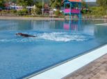 hundeschwimmen-__006.jpg
