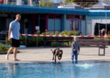 hundeschwimmen-__018.jpg