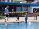 hundeschwimmen__041.jpg