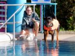 hundeschwimmen__087.jpg