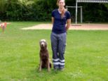 hundeschwimmen__131.jpg