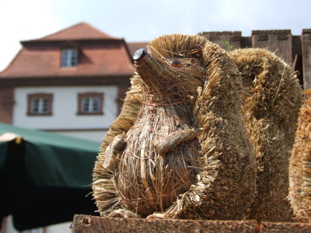 huttenschloss_098.jpg