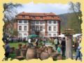 huttenschloss_005.jpg