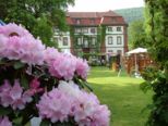 huttensteinbach_042.jpg