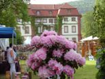 huttensteinbach_049.jpg