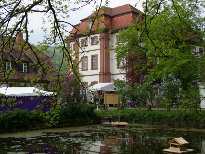 vonhutten_2010_565.jpg